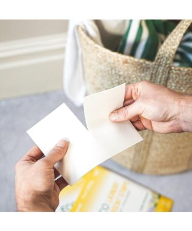Proto Future Sweet Botanical Eco-Friendly Laundry Detergent Sheets - 60 Loads - Biodegradable, Hypoallergenic, Zero Waste, Plant-Based Formula - Plastic-Free Eco-Strips - Buy Online on GoSupps.com