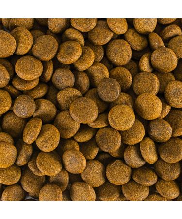 Balanced dry dog food for older dogs TROPIDOG Premium Senior 12kg - Buy Online on GoSupps.com