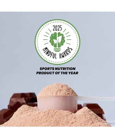Kick Whey Protein Powder Chocolate Flavor 25 G Protein Gluten Free Workout Supplement with Amino Acids to Support Fitness Goals & Gut Health No Added Sugar No Artificial Flavor 16 Servings - Buy Online on GoSupps.com