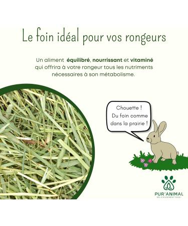 PUR'ANIMAL - PDO Crau hay 5 kg for rabbits and small rodents rabbit hay rabbit food guinea pig... - Buy Online on GoSupps.com
