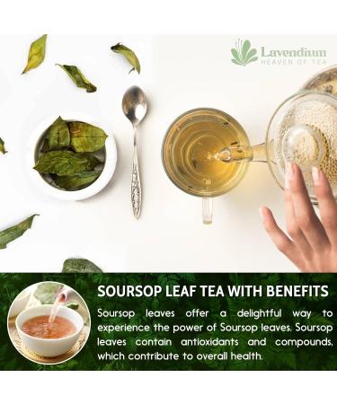 Lavendium 120+ Premium Soursop Graviola Dried Leaves 120-140 Natural Leaves Whole Soursop Leaves Wildcrafted Graviola Soursop Hoja Guanabana Soursop Loose Leaf Herbal Tea No Gluten Vegan Soursop Leaves 120 Bags - Buy Online on GoSupps.com