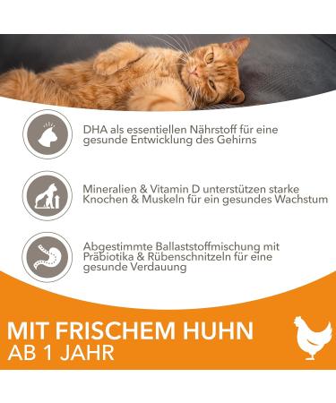 IAMS Dry Cat Food with Chicken for Ages 1-6 Years - 1.5 kg Pack | High-Quality Nutrition for Your Cat - Buy Online on GoSupps.com