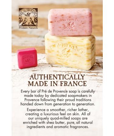 Pre de Provence Mint Leaf Bar Soap 8.8 oz - Luxurious European Soap - Buy Online on GoSupps.com