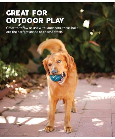 Outward Hound Squeaker Ballz Fetch Dog Toy Small- 4 Pack Small (4-pack) - Buy Online on GoSupps.com