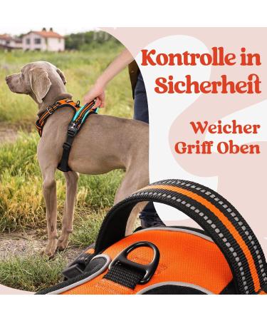 Rabbitgoo Dog Harness for Large Dogs - Adjustable No-Choke Soft Padded Reflective Chest Harness with Handle - Anti-Train Design - Orange (1 Pack) - Buy Online on GoSupps.com