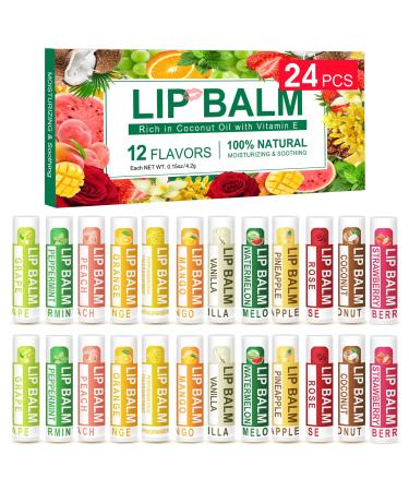 DMSKY 24-Pack Vitamin E Lip Balm with 100% Coconut Oil - Sunscreen Lip Balm SPF 15-12 Flavors Natural Ingredients lip balm pack - Lip Moisturizer Treatment - Moisturizing Soothing Chapped Lips. Green pack of 24