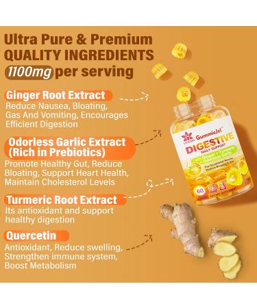 LILICARE Bundle Ginger Chews Supplement Gummies for Nausea Stomach Relief & Liver Cleanse Detox & Repair Gummies with Milk Thistle - Buy Online on GoSupps.com