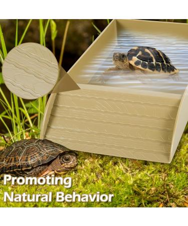 Alongen Tortoise Water Dish Tortoise Food Dish Anti Slip Reptile Pool Bowl with Ramp Reusable Reptile Pool Tortoise Habitat Accessories for Turtles Horned Frogs and Lizards(Brown) - Buy Online on GoSupps.com
