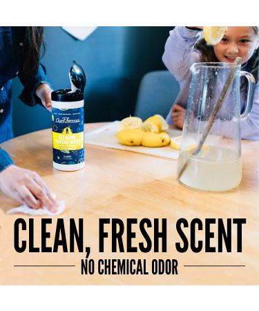 Aunt Fannie's Cleaning Vinegar Wipes - Bright Lemon (35 Wipes) | Eco-Friendly & Effective - Buy Online on GoSupps.com
