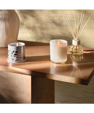 ILLUME Driftwood Refillable Glass Candle - Elegant Aromatherapy | International Shipping Available - Buy Online on GoSupps.com