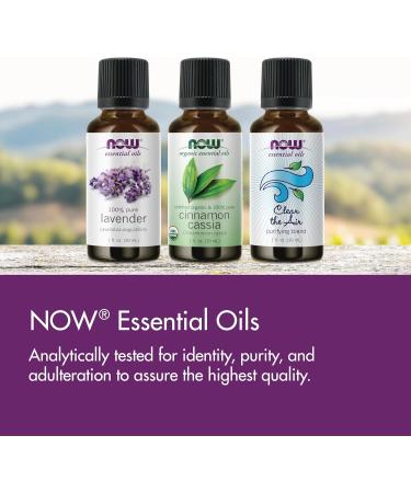 NOW Essential Oils Lemon & Eucalyptus Oil Blend Invigorating Aromatherapy Scent Blend of Pure Lemon Oil and Pure Eucalyptus Oil Vegan Child Resistant Cap 4-Ounce 4 Fl Oz (Pack of 1) - Buy Online on GoSupps.com