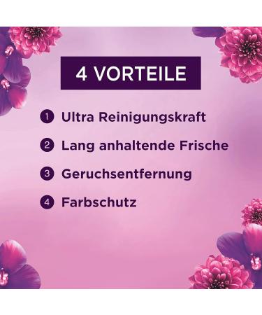 Lenor WM Liquid Amethyst Flower Dream 5L | 100 Washes - April Fresh Laundry Detergent | International Shipping Available - Buy Online on GoSupps.com