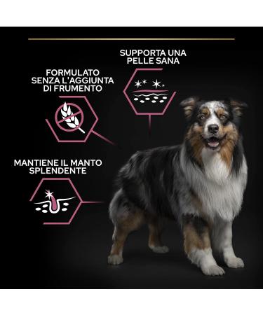 Purina Pro Plan Medium Adult Dog Sensitive Skin with Optiderma Salmon 3 kg - Buy Online on GoSupps.com