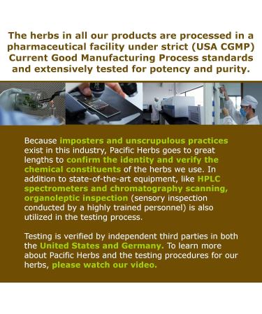 Pacific Herbs Natural Fertility Tea - Herbal Extract for Fertility Support - Buy Online on GoSupps.com