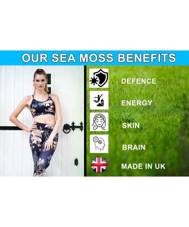 High Potency Sea Moss & Bladderwrack 60 Capsules (3600mg) | Vegan & Non GMO | Dr Sebi Approved - Buy Online on GoSupps.com