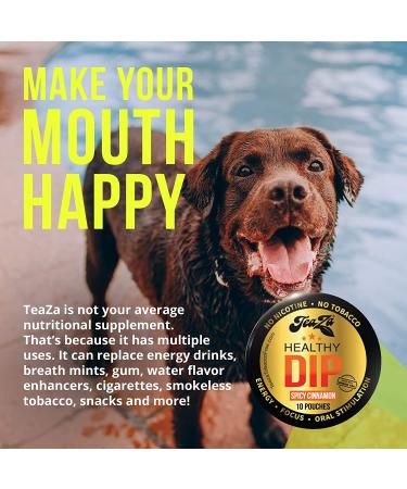 Teaza Herbal Energy Pouch Bundle - Peppermint & Spicy Cinnamon Flavor, Tobacco Replacement - 4 Pucks - Buy Online on GoSupps.com