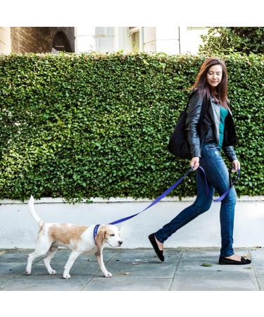 Buy Personalized Reflective Dog Collar & Leash Set - Tagme Royal Blue XS | 1 Pack 1.5m Double-Sided | Ideal for Small Dogs - Buy Online on GoSupps.com