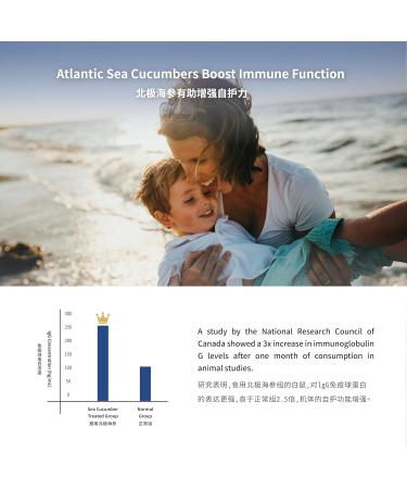 Rosalyn Premium Deep Sea Atlantic Canada Wild Caught Sea Cucumber Dried Sea Cucumber Extract Butterfly Cut Canadian Sea Cucumber-454 Grams 8 Years(Pack of 3) 454g(Pack of 3) - Buy Online on GoSupps.com