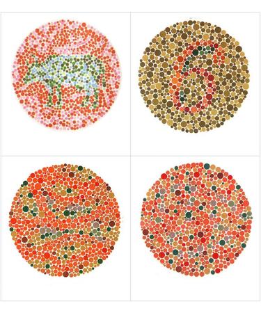 Stylish Lightweight Glasses for Red-Green Color Blindness | Includes Storage Box - Buy Online on GoSupps.com