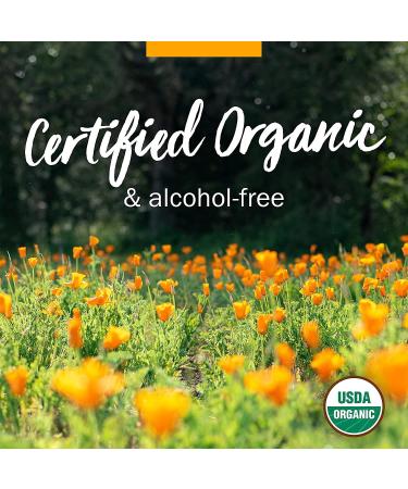 Herb Pharm Certified Organic Lemon Balm Liquid Extract for Calming Nervous System Support Organic Cane Alcohol 1 Ounce (Pack of 5) 1 Fl Oz (Pack of 5) - Buy Online on GoSupps.com