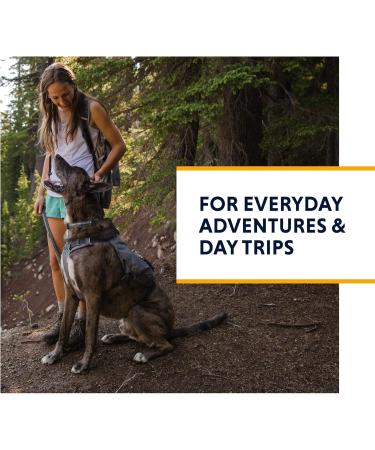 Luffwear Dog Harness with Built-in Bags | All-Day Comfort for Small Breeds | Granite Gray - Perfect for Short Trips & Everyday Activities - Buy Online on GoSupps.com