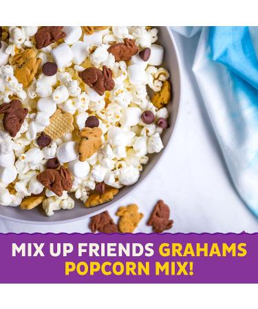 Annie's Organic Bunny Graham Snacks Chocolate Chip & Honey - 12 Packets (Pack of 4) - Buy Online on GoSupps.com