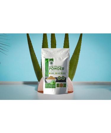 Aloe Vera Leaf Powder - Organic Moisturizer & Juice for Skin & Hair | 100g Natural Pure Aloe Barbadensis - Buy Online on GoSupps.com
