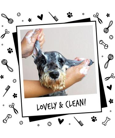 BUGALUGS Dog Shampoo Luxury 2 in 1 Papaya & Coconut dog grooming shampoo products for smelly dogs with fragrance best puppy shampoo professional groom Vegan pet shampoo & conditioner Shampoo 1x500ml - Buy Online on GoSupps.com