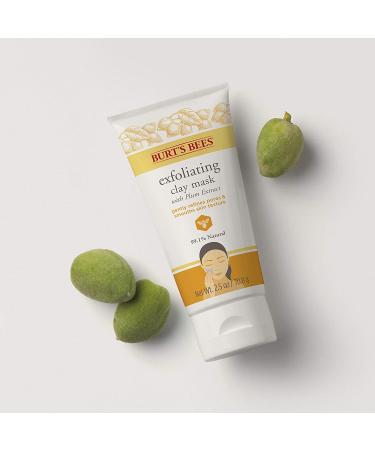 Burt's Bees Exfoliating Clay Mask 2.5 oz - Unisex Skincare Treatment - Buy Online on GoSupps.com