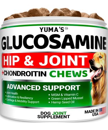 Glucosamine Dog Hip and Joint Chews - MSM Turmeric Chondroitin Green Lipped Mussels - Veterinarian Developed - Made in USA