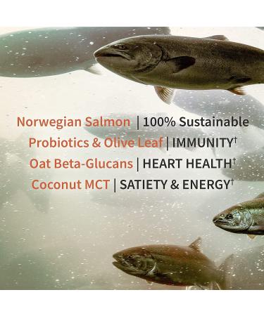 GoSupps.com - Garden of Life MD Protein Plant & Sustainable Salmon Rich Chocolate 24.19 oz (686 g) - Buy Online on GoSupps.com