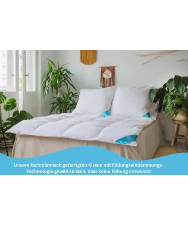Buy Sandaro Home Seating - 80x80 Down Springs Cushion Set | 100% Natural Cotton | Ultra Comfort & Eco-Tex Certified - Buy Online on GoSupps.com