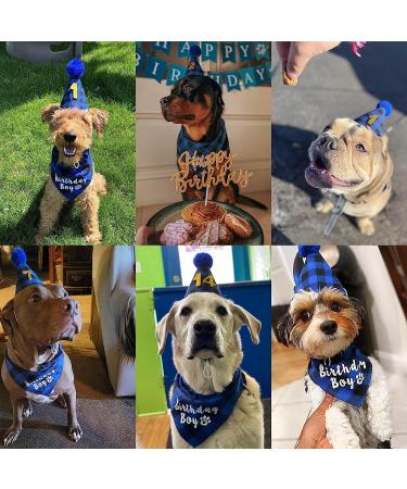 JOTFA Dog Birthday Party Supplies  Plaid Dog Birthday Boy Bandanas with Dog Birthday Party Hat Bow Tie Birthday Number for Small Medium Large Dogs Pets (Blue  Bandana & Hat & Bow Tie & Number) Bandana & Hat & Bow Tie & Number Blue - Buy Online on GoSupps.com