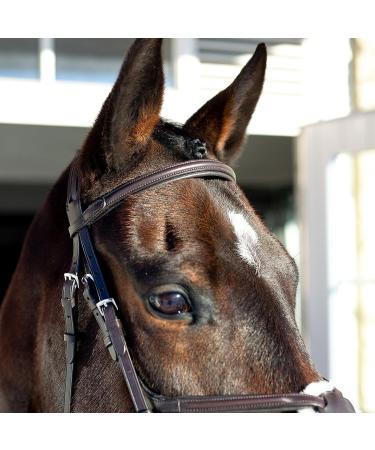HORZE Prescott Figure 8 Bridle - Brown, Horse Size - Buy Online on GoSupps.com