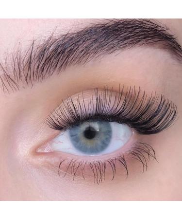 SWEED Iconic False Lashes | Vegan & Cruelty-Free | Clean Beauty | International Shipping - Buy Online on GoSupps.com