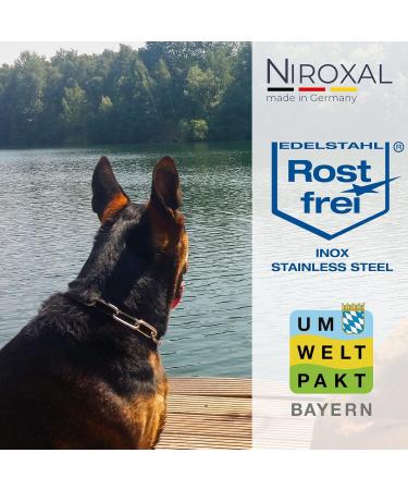 Rustproof Stainless Steel Dog Training Chainstab Collar - 49cm Long 5mm Thick - Durable & Effective Training Solution - Buy Online on GoSupps.com