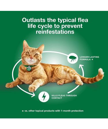 Advantage XD Flea Prevention for Small Cats (1.8-9 lbs) - Long-Lasting Treatment - 2 Pack - Buy Online on GoSupps.com