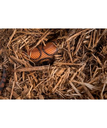 Galapagos (05054 Cypress Tank Mulch Forest Floor Bedding 8-Quart Natural - Buy Online on GoSupps.com