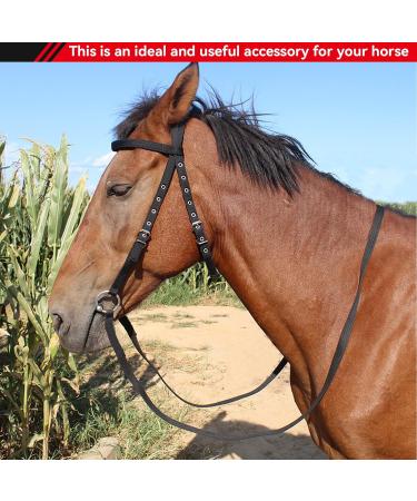 High-Quality Frdhee Bridle Lilly Soft Biteless Comfort Bridle with Reins for Horses | International Shipping - Buy Online on GoSupps.com