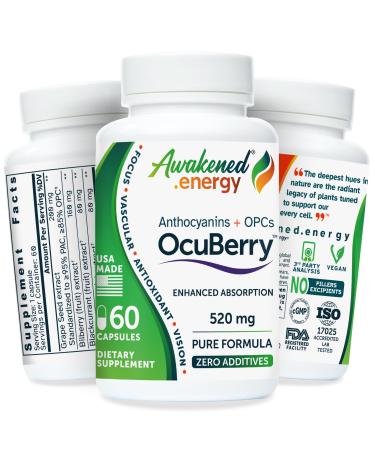 OcuBerry - Bilberry Grape Seed Black Currant & Black Rice Extracts - Antioxidant & Vascular Support - Vision Retina & Blue Light Protection - No Fillers Excipients - 60 Vegan Capsules Supplement