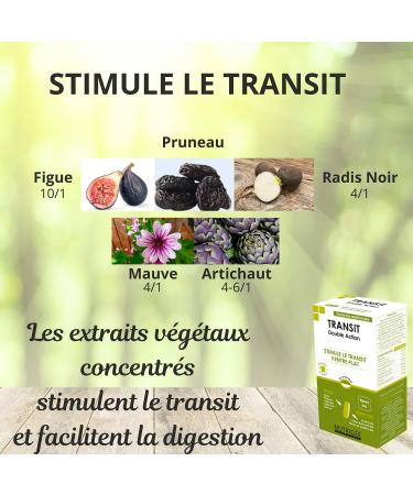 NUTRIG E - Transit Double Action - Intestinal Sloth - Flat Stomach - Facilitates Digestion Regenerates Flora Regulates Transit - 1 to 3 Takes/Day - 60 Tablets - Made in France - Buy Online on GoSupps.com