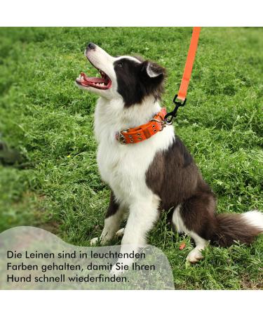 Tag Trag 20m Orange Dog Leash - Waterproof Easy to Clean Training Line for Small to Medium Dogs - Durable Handle & D-Ring - Buy Online on GoSupps.com