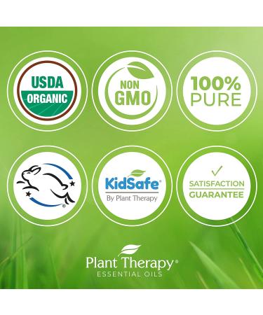 Plant Therapy Organic Fractionated Coconut Oil 16 oz - 100% Pure, USDA Certified Organic Natural Moisturizer for Skin, Hair, Body - Liquid Carrier Oil for Massage & Aromatherapy - Buy Online on GoSupps.com