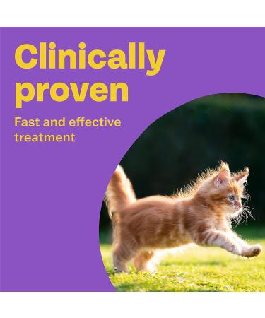 Bob Martin Clear Wormer for Cats - 2 Tablets | Clinically Proven Treatment for Kittens - Buy Online on GoSupps.com