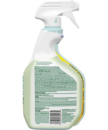 Clorox CloroxPro EcoClean Disinfecting Cleaner Spray 32oz Bottle (Pack of 1) - Buy Online on GoSupps.com