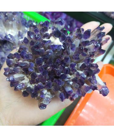 Natural Crystal Rough Natural Crystals and Stones 1pcs 400-500g Natural Amethyst Cluster raw Stones geode Reiki Quartz Crystal Minerals Gemstone Remove Negative for Decoration - Buy Online on GoSupps.com