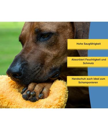 Canicoat Dog Towel SECCARE Set with Glove - Oeko-Tex Certified Fast Drying Microfiber (S/M Blue) - International Shipping Available - Buy Online on GoSupps.com