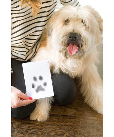 Pearhead Pet Ink Print Pad - Medium/Large Size in Black - Buy Online on GoSupps.com