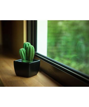 Buy Tri Cactus Non-Electric Ceramic Diffusers - Essential Oils & Aromatherapy Decor for Car Office & Home - Stylish Black Vase - Buy Online on GoSupps.com