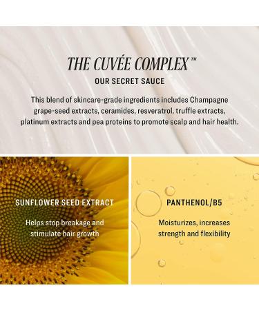 CUV E BEAUTY Cuvee Air Dry Mist - Frizz-Free Natural Texture with Champagne-Infused Formula - 1.7 fl oz - Buy Online on GoSupps.com